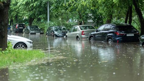 Montreal must become ‘sponge city’ as extreme weather to become more common